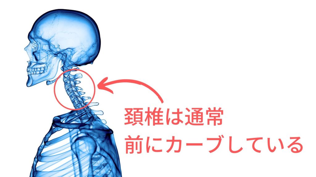 頚椎は通常前にカーブしている